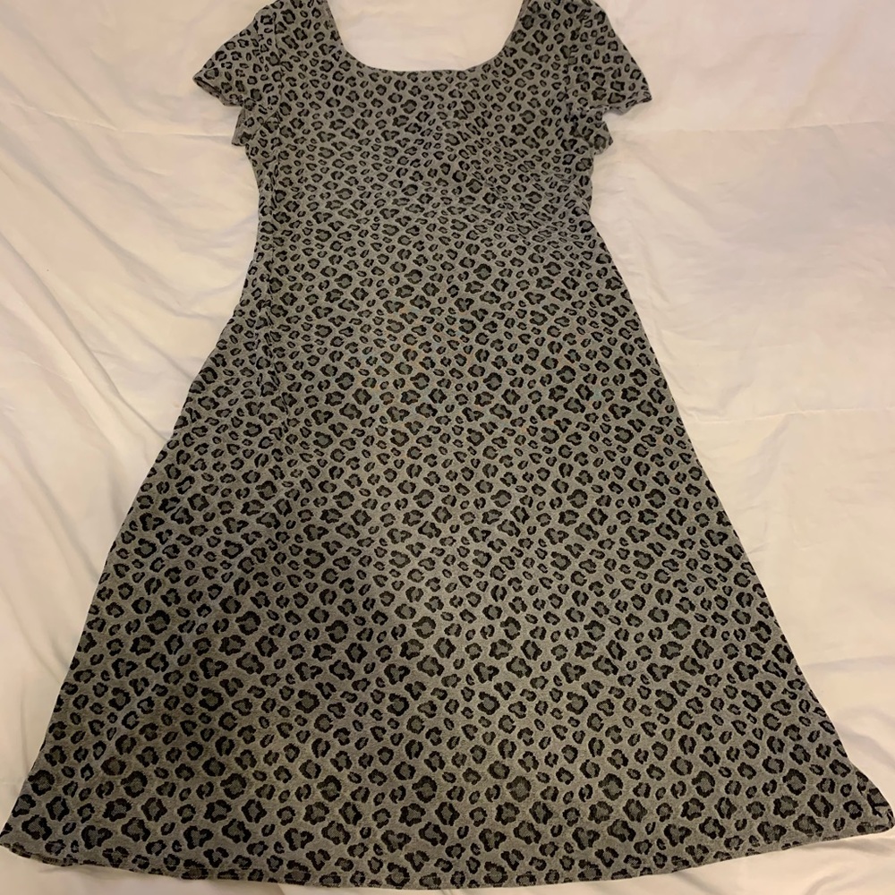 Shift Animal Print Dress